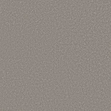 Chic Taupe