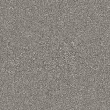 Chic Taupe