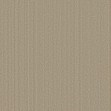 Dried Wheat