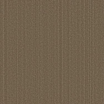 Acorn