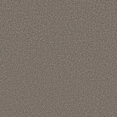 New Attitude in Carpet Flooring