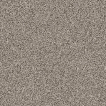Overcast