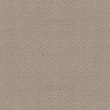 Studio Taupe