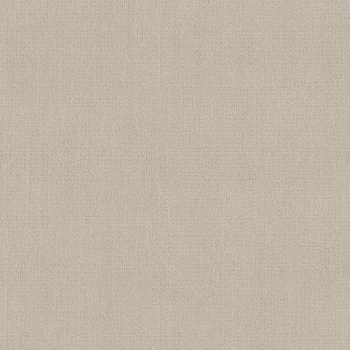 SIERRA VISTA in Alabaster Carpet