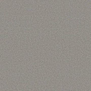 Grey Fox