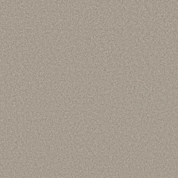 Baltic Stone