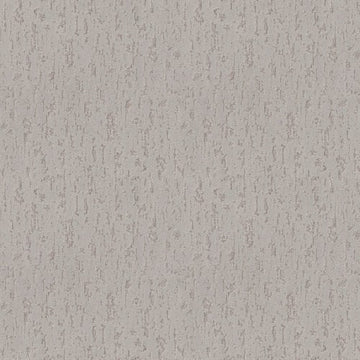 Plaster