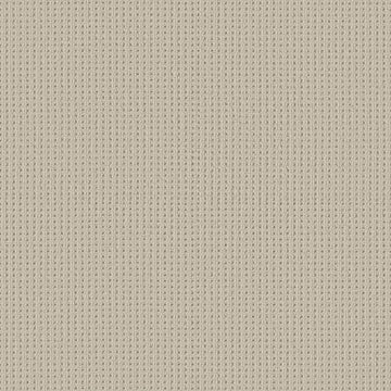 Aged White