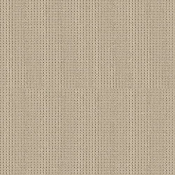 Biscuit
