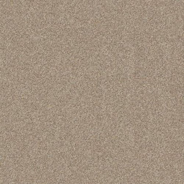 Calm Ivory