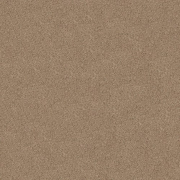 Basic Tan