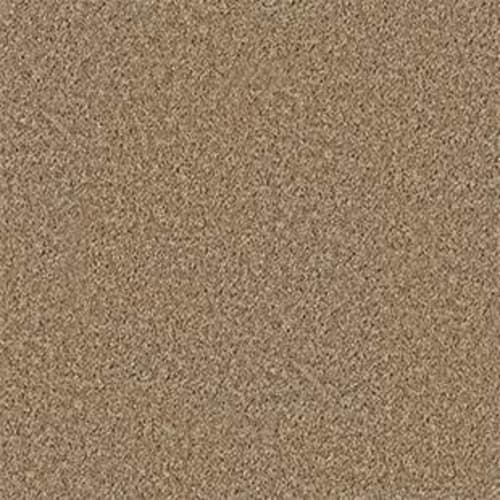 Larimore 15' in Cider Carpet