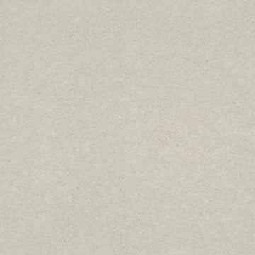 Minimalist