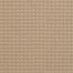 Steadfast 6105 in 28308 Surry   Carpet Flooring | Dixie Home