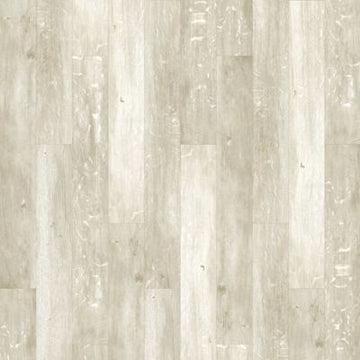 Warbler Oak