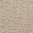 Aspects 6872 in 32049 Tarnished Carpet Flooring | Dixie Home