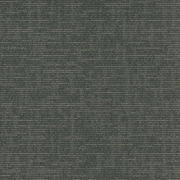 Magazine