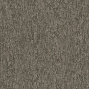 Graphics