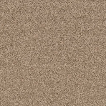 Honey Beige