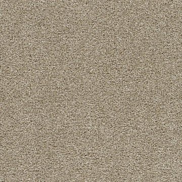 Dust