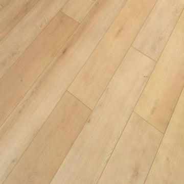 Sandbar Oak