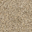 Raise The Woof I in Bisque Carpet