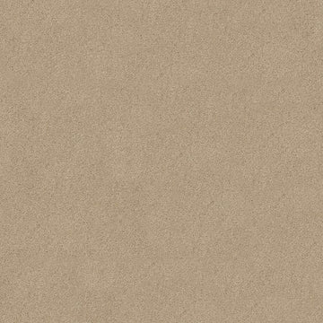 Chic Cream