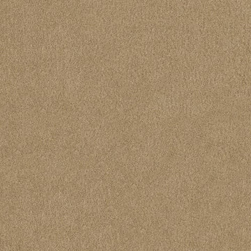 Macadamia