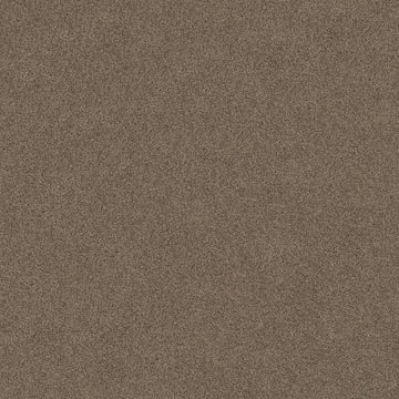 Simply Taupe