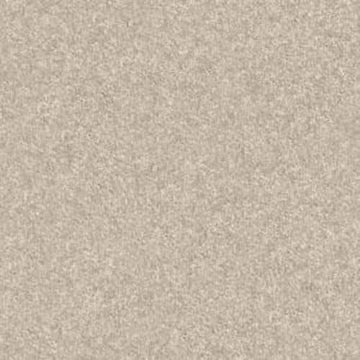 Cement