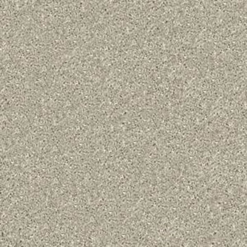Gray Whisper