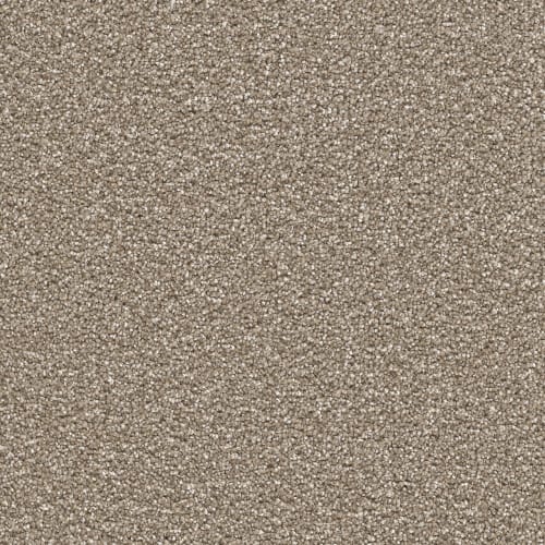 Knob Creek in Acorn Carpet