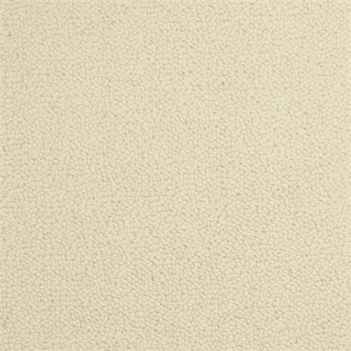 Wexford Flooring by Masland Carpets