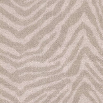 Cream Zebra