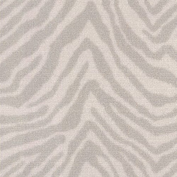 Grevy's Zebra