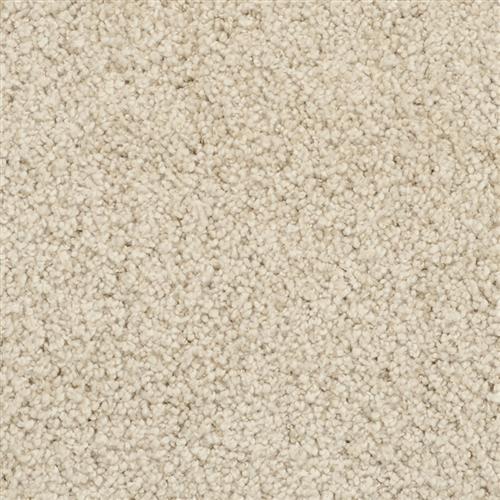 Shangri-La Flooring by Masland Carpets