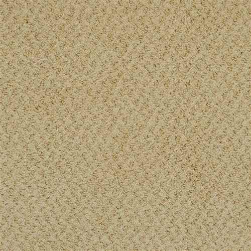 New Hope Flooring by Masland Carpets