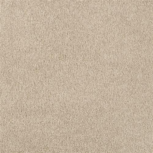 Miami Flooring by Masland Carpets