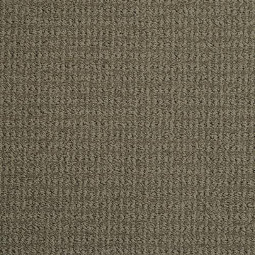 Cotton Seed