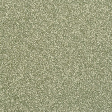 Pine