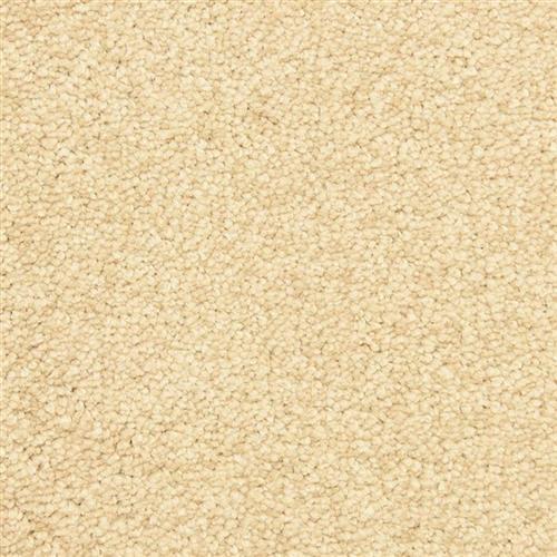 Vero Beach Flooring by Masland Carpets