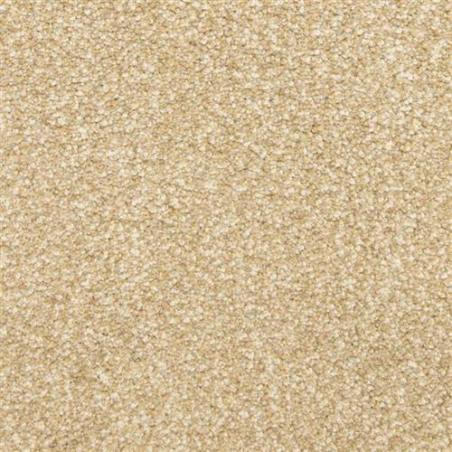 This and That Flooring by Masland Carpets