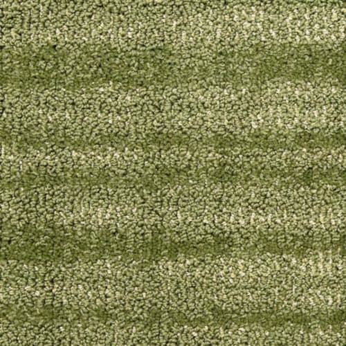 Jive Flooring by Masland Carpets