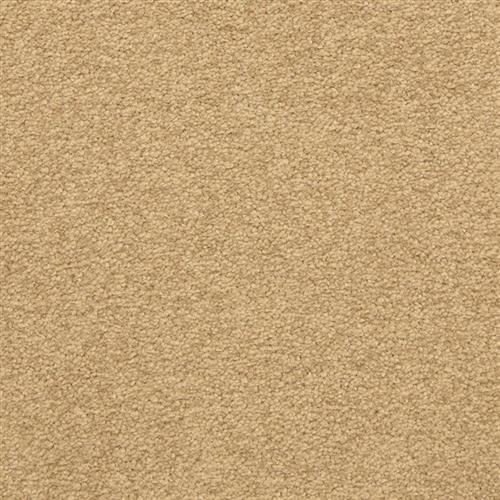 Patriot Flooring by Masland Carpets