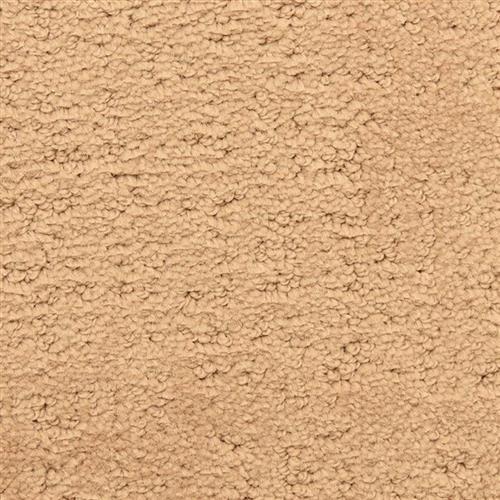 Santa Barbara Flooring by Masland Carpets
