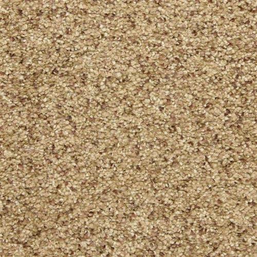 Staccato Flooring by Masland Carpets
