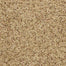 Staccato Flooring by Masland Carpets