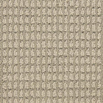 Backdrop