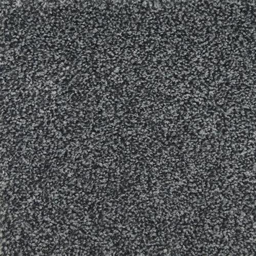 Delray Flooring by Masland Carpets