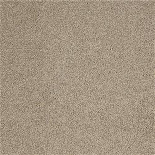Harbor Town Flooring by Masland Carpets